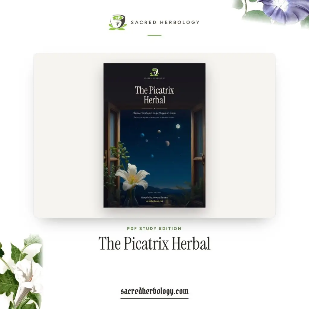 The Picatrix Herbal, study edition PDF cover: a white flower under seven planets at a night window, Sacred Herbology