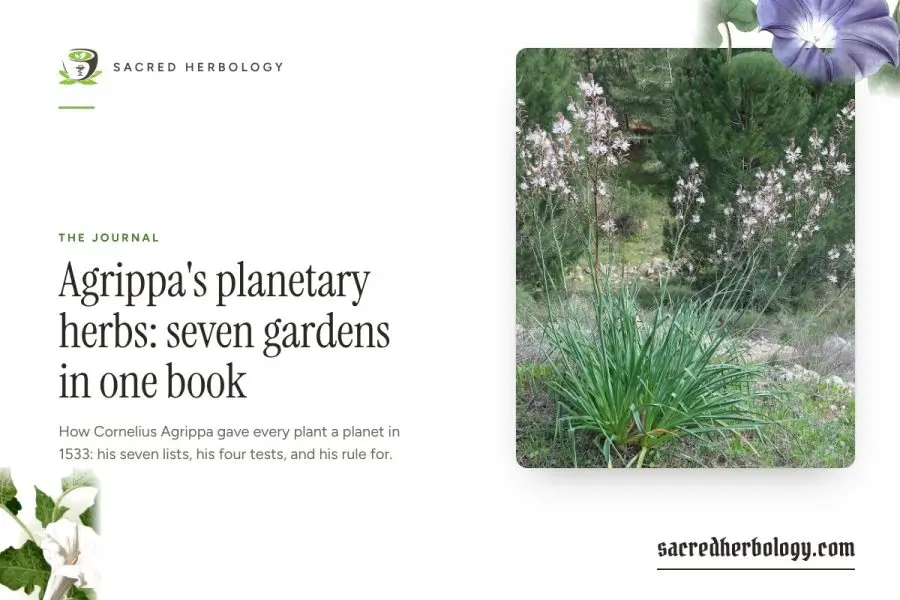 Sacred Herbology share card