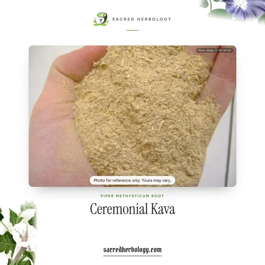 Dried ground kava root held in an open hand