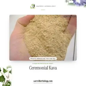 Dried ground kava root held in an open hand